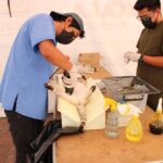 TLX-esterilización-mascotas