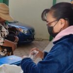 TLX-vacunación-mascotas