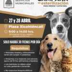 TLX-esterilización-mascotas
