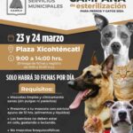 TLX-campaña-vacunación