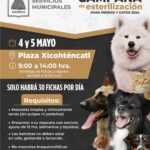 TLX-esterilización-mascotas