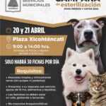 TLX-jornada-esterilización