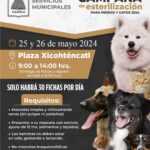 TLX-campaña-mascotas