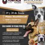 TLX-mascotas-esterilizacion