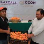 TLX-feria-durazno
