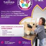 TLX-CECAPDIF-habilidades