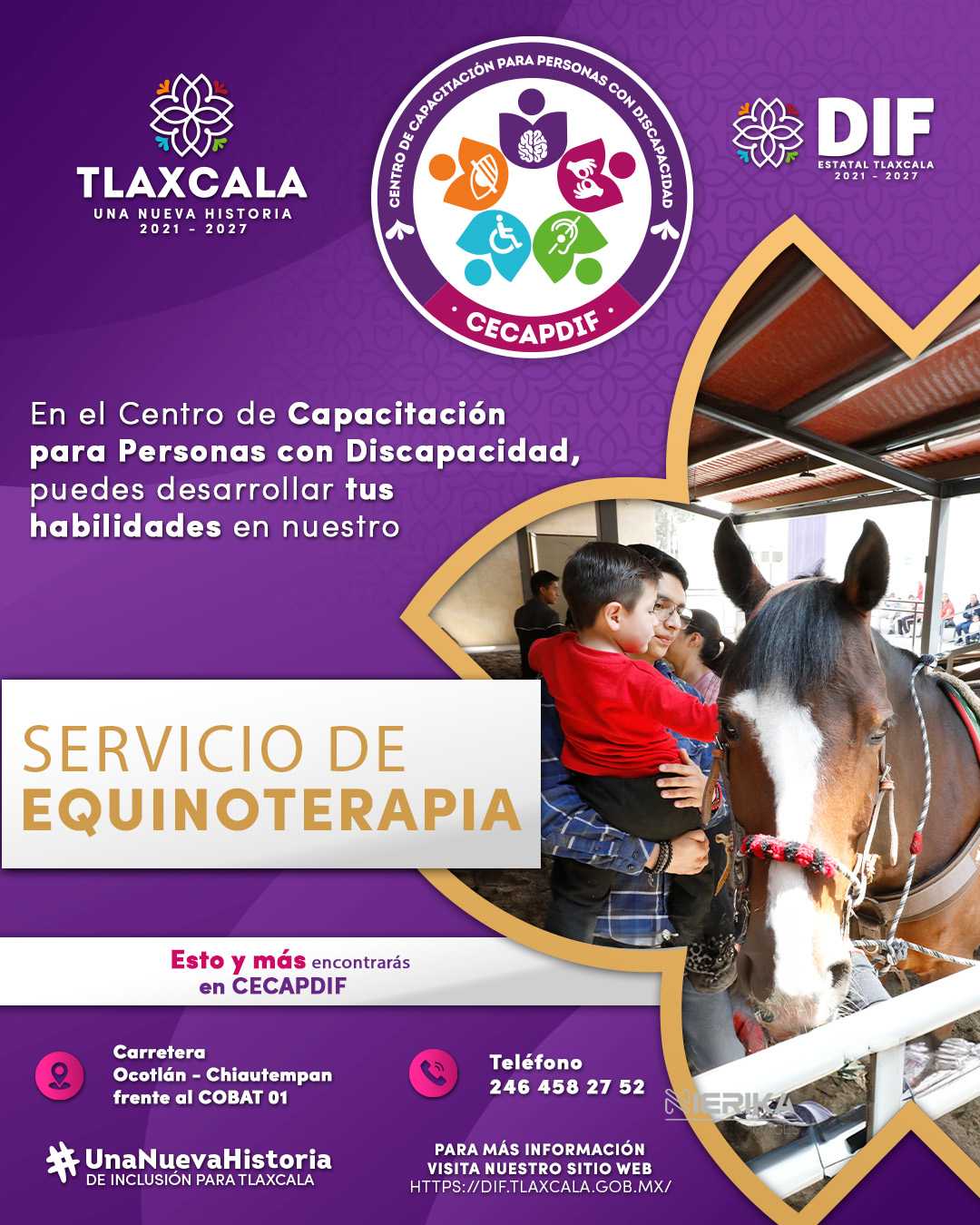 TLX-cecapdif-equinoterapia