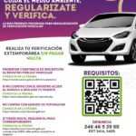 TLX- pago-verificación