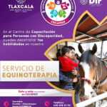 TLX-CECAPDIF-equinoterapia