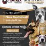 TLX-campaña-esterilización