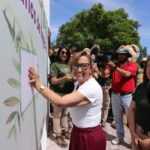 TLX-curso-verano