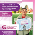TLX-ayudas-funcionales