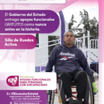 TLX-ayudas-funcionales