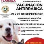 TLX-vacunación-mascotas
