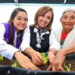 TLX-autosuficiencia-alimentaria