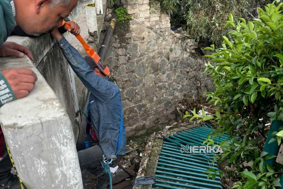 TLX-jardín-botanico
