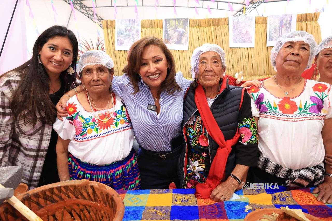 TLX-dia-alimentación