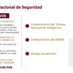 TLX-seguridad-nacional