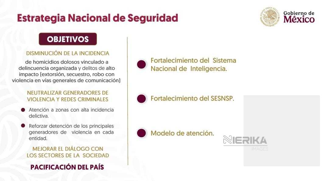 TLX-seguridad-nacional