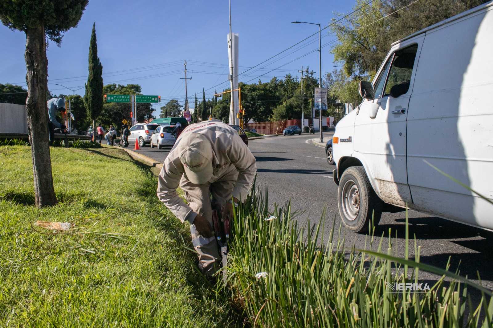 TLX-jardineria-capital