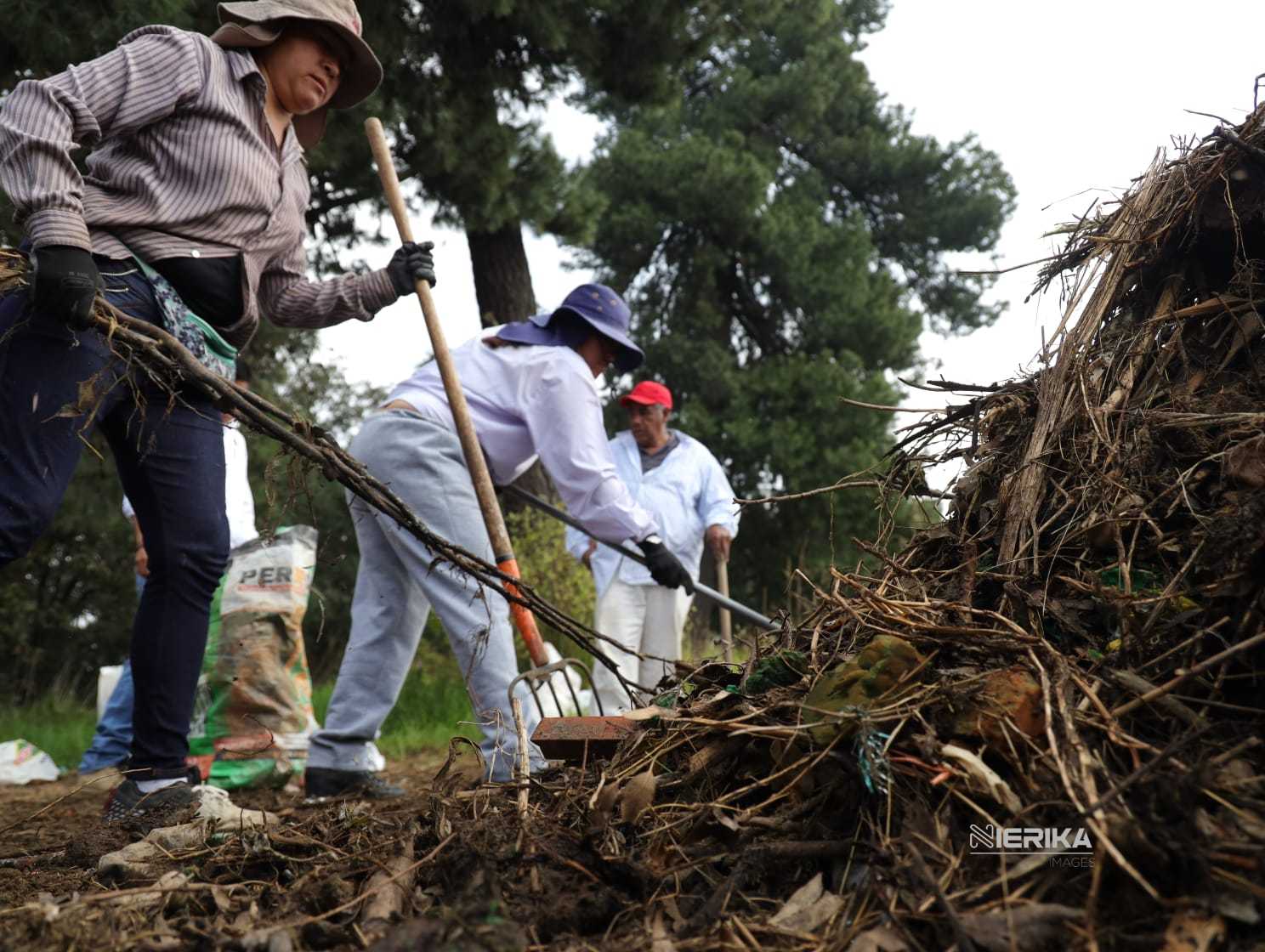 CHI-producción-composta