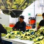 SE GENERARON 638 PUESTOS DE TRABAJO FORMALES EN OCTUBRE: STYC