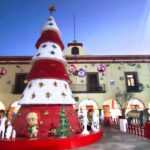 CHI-encendido-arbol