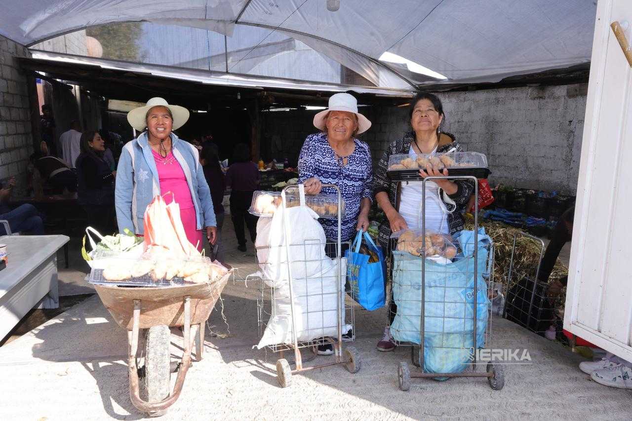 CUENTAN CON PROGRAMAS SOCIALES OCHO DE CADA DIEZ TLAXCALTECAS