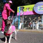 Tlx-inaguracion-parque-perros