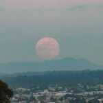 Tlx-ultima-superluna-2024