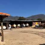 FGR EJECUTA ORDEN DE CATEO EN MATERIA DE HIDROCARBUROS EN ATLTZAYANCA TLAXCALA