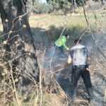 Protección Civil del Ayuntamiento de Tlaxcala atienden incendios de pastizales en Tlaxcala