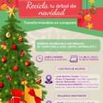 INICIA SMA CAMPAÑA DE ACOPIO “RECICLA TU ÁRBOL DE NAVIDAD”