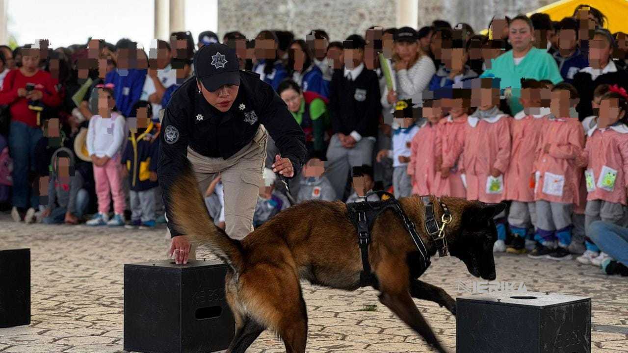 BENEFICIÓ SSC A MÁS DE 130 MIL PERSONAS CON PROGRAMAS DE PREVENCIÓN DEL DELITO EN 2024