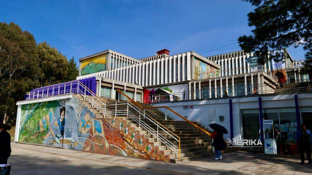 CORRESPONDE EXCLUSIVAMENTE A LA FEDERACIÓN OTORGAR EL RVOE DE ESTUDIOS EN ÁREAS DE LA SALUD