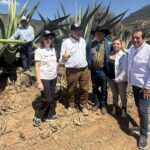 CARLOS MORO, FIGURA DESTACADA EN LA PRODUCCIÓN DE VINO, EXPLORA EL PULQUE DE ALTZAYANCA Y LA MAGIA DE HUAMANTLA