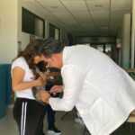 INICIA EL 30 DE MARZO LA JORNADA DE VACUNACIÓN ANTIRRÁBICA CANINA Y FELINA EN TLAXCALA
