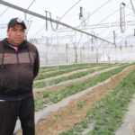 CONTRIBUYE FOMTLAX AL FORTALECIMIENTO DEL CAMPO TLAXCALTECA