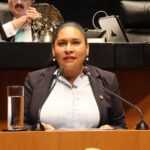 Propone Ana Lilia Rivera duplicar penas y participación de SEDENA contra el delito de tala ambiental