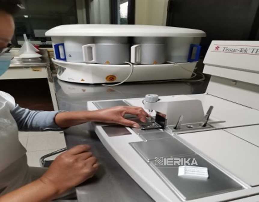 CON TECONOLOGÍA AVANZADA, EL ITAES OFRECE ANÁLISIS EN LABORATORIO DE PATOLOGÍA