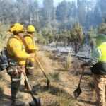 CEPC EMITE RECOMENDACIONES PARA PREVENIR INCENDIOS FORESTALES