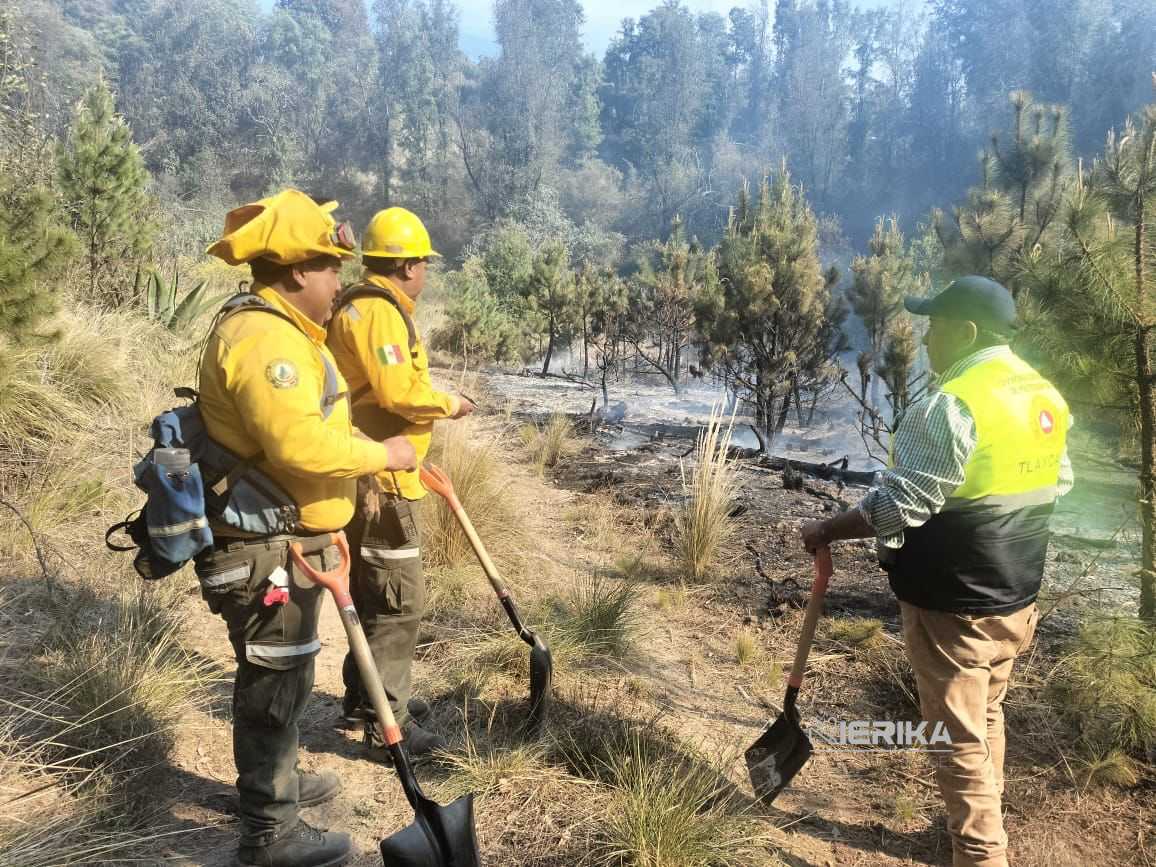 CEPC EMITE RECOMENDACIONES PARA PREVENIR INCENDIOS FORESTALES