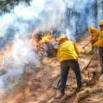 Estado de México castigará hasta con 10 años de cárcel a quien provoque incendios forestarles