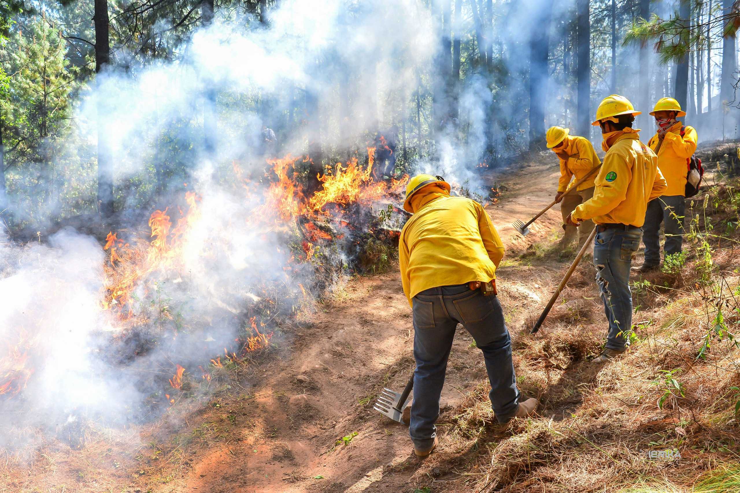 Estado de México castigará hasta con 10 años de cárcel a quien provoque incendios forestarles