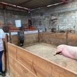 FORTALECE FOMTLAX AL SECTOR GANADERO CON CRÉDITOS ACCESIBLES