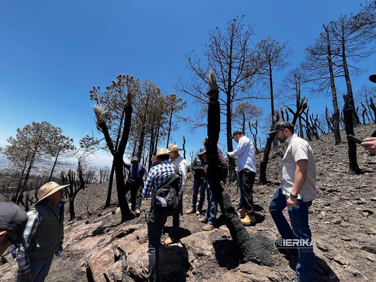 OBTIENEN INFORMACIÓN POSITIVA PARA REFORESTACIÓN TRAS RECORRIDO POR ATLTZAYANCA