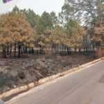 GESTIONA GOBIERNO DE TLAXCALA APOYO DE HELICÓPTEROS PARA COMBATIR INCENDIO