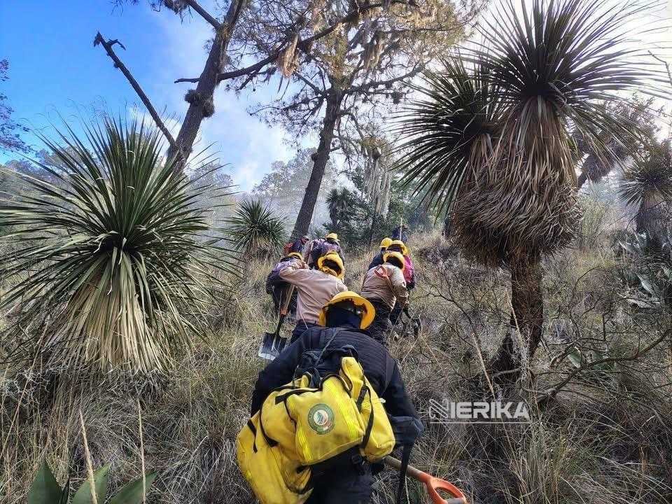 SE LOGRA LIQUIDACIÓN DEL INCENDIO EN EL CERRO DE SAN GABRIEL ATLTZAYANCA