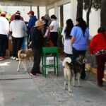 JORNADA DE VACUNACIÓN ANTIRRÁBICA CANINA Y FELINA REGISTRA ALTA PARTICIPACIÓN EN TLAXCALA