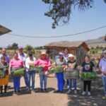 ENTREGA SECRETARÍA DE BIENESTAR PLÁNTULAS A BENEFICIARIOS DE MÓDULOS DE AUTOSUFICIENCIA ALIMENTARIA